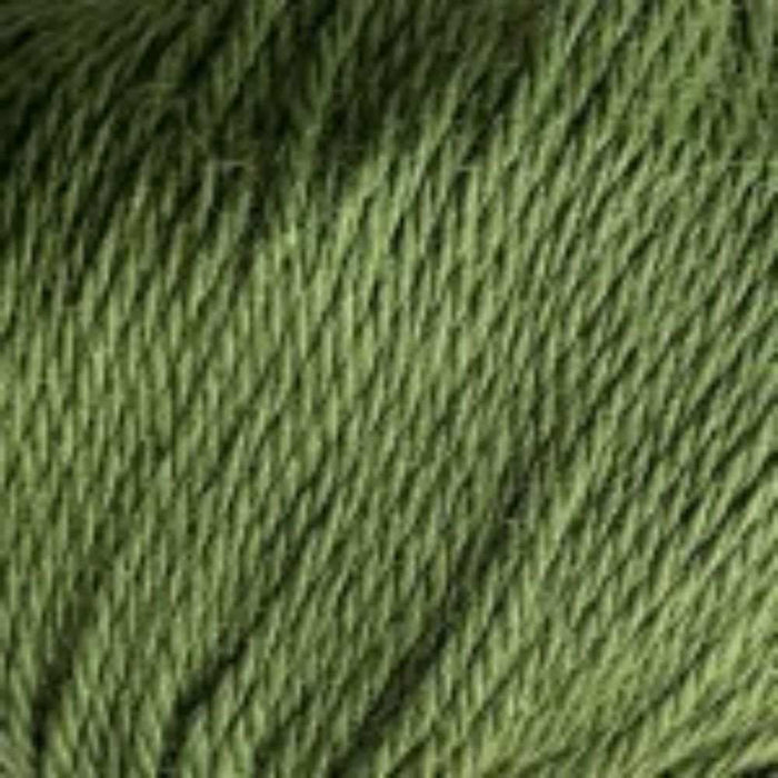 Slouch Beanie Knit Kit-Knitting Kit-Wild & Woolly Yarns-Forest Green (765)-Without-Wild & Woolly Yarns