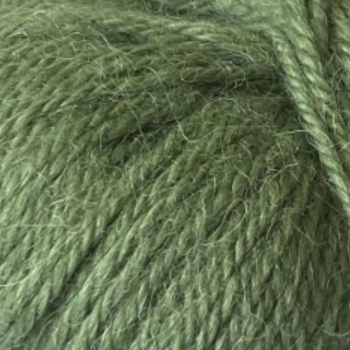 Crew Neck Top Down Sweater Knit Kit-Needlecraft Kits-Wild & Woolly Yarns-Pickle (1450)-Small-Wild & Woolly Yarns