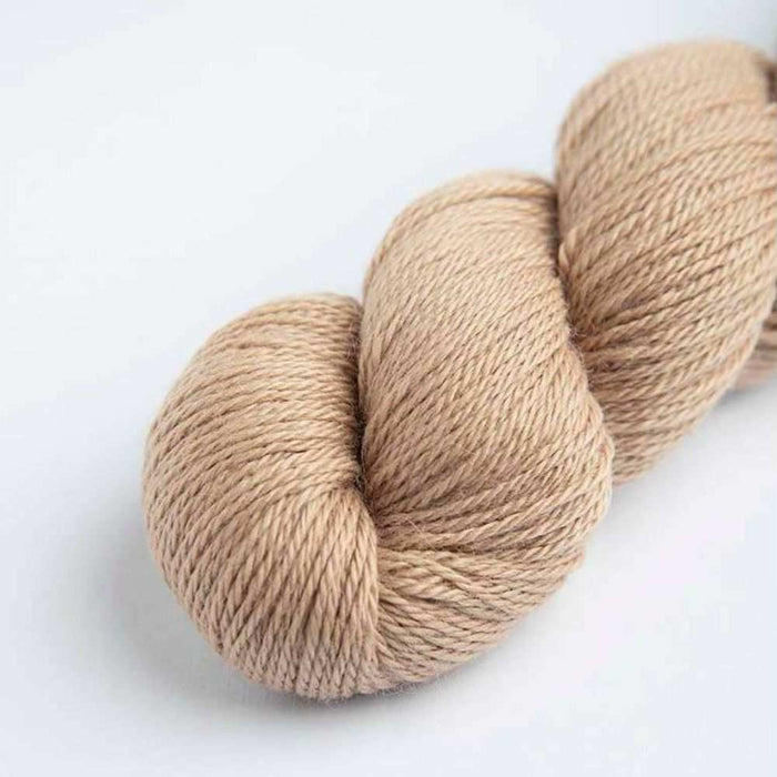 Tania Beret Knit Kit-Needlecraft Kits-Wild & Woolly Yarns-Leaf (5023)-XSmall-Wild & Woolly Yarns