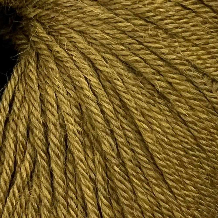 Indiecita EasyWash 100% Baby Alpaca - 8Ply-Yarn-Alpaca Yarns-Chartreuse Melange-Wild & Woolly Yarns