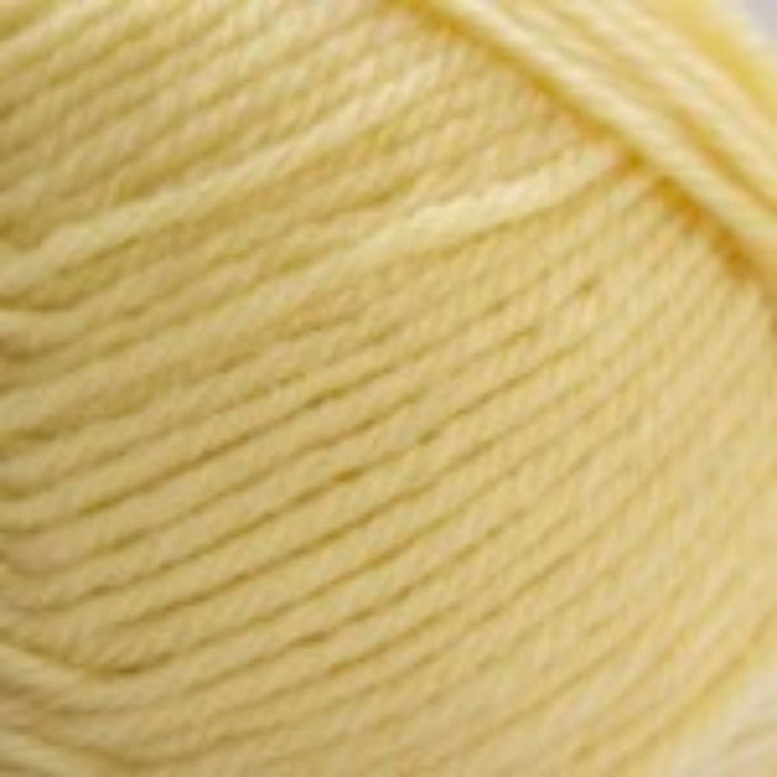 Loyal NZ 8ply-Yarn-Wentworth Distributors-White (900)-Wild & Woolly Yarns