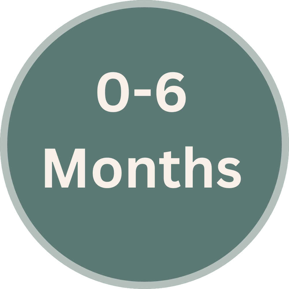 0-6 Months