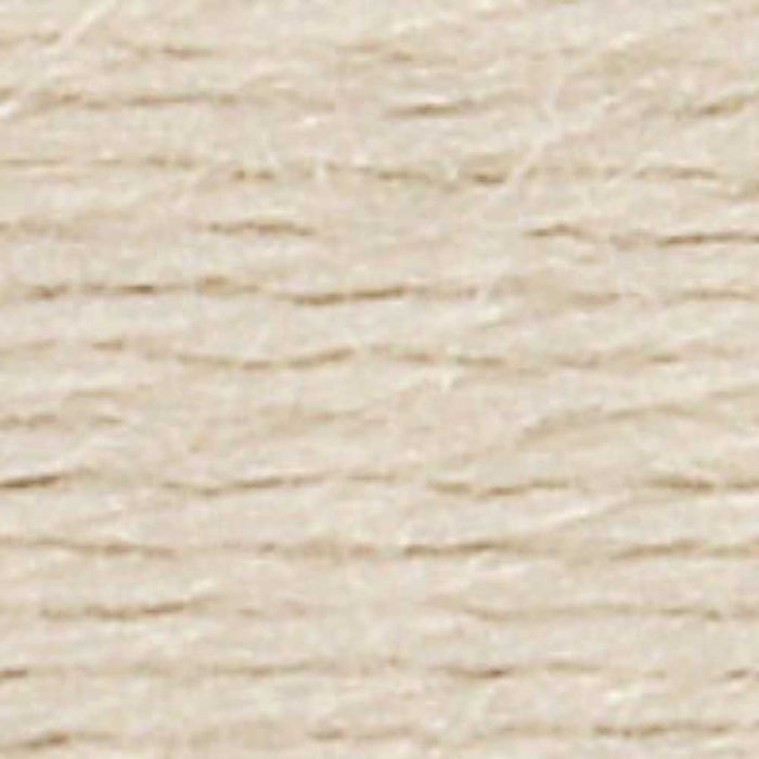 DMC Ecovita Organically Dyed Wool Thread-Embroidery Thread-CraftCo-Frosted Juniper-Wild & Woolly Yarns