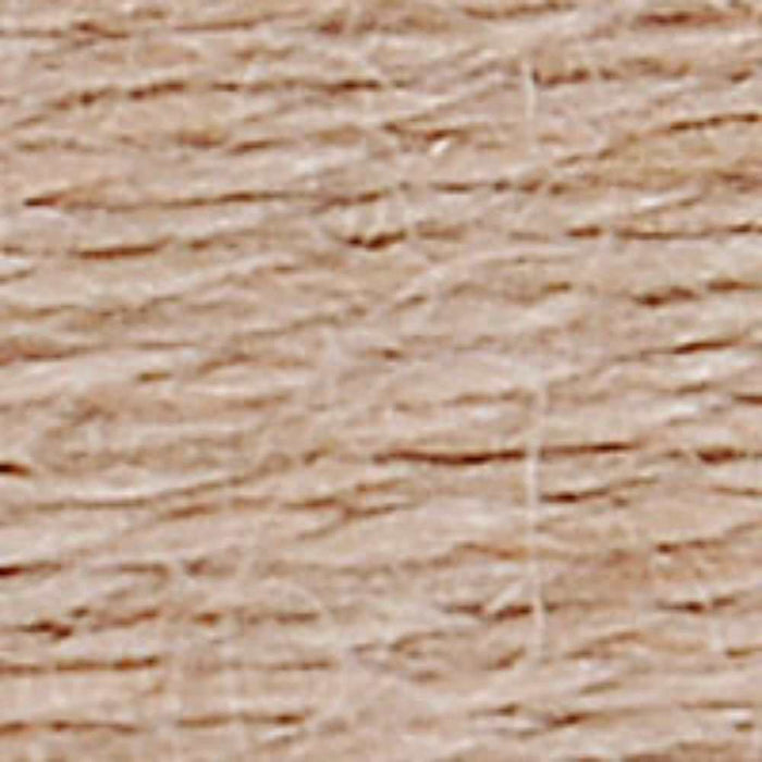 DMC Ecovita Organically Dyed Wool Thread-Embroidery Thread-CraftCo-Frosted Juniper-Wild & Woolly Yarns