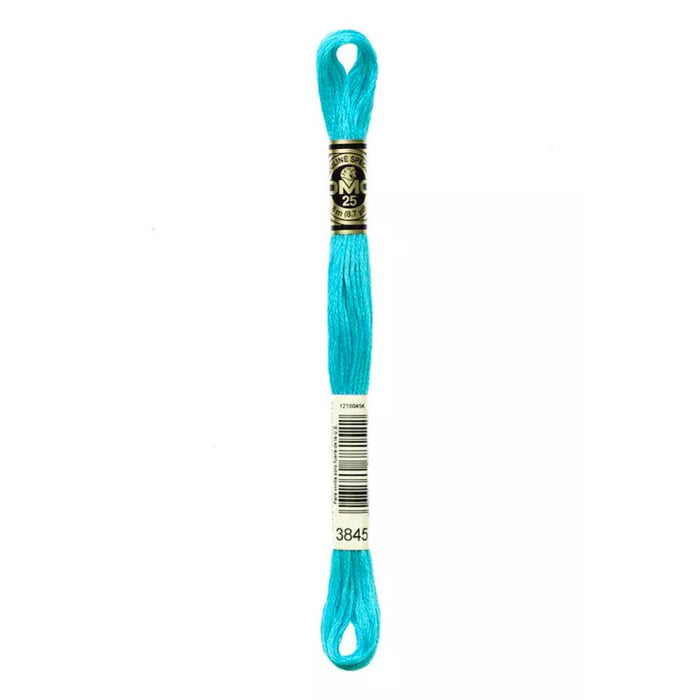 Six-Strand Embroidery Floss - 3845 (Turquoise)-Embroidery Thread-Wild and Woolly Yarns