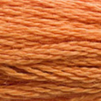 Six-Strand Embroidery Floss - 3853 (Copper)-Embroidery Thread-Wild and Woolly Yarns