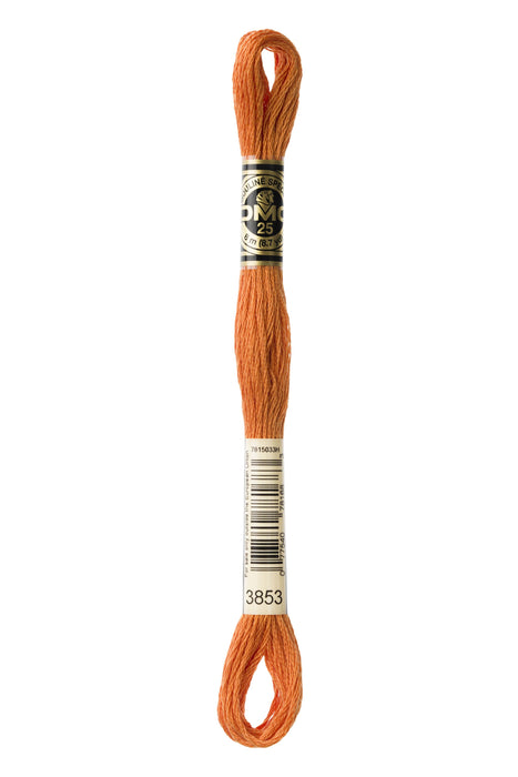 Six-Strand Embroidery Floss - 3853 (Copper)-Embroidery Thread-Wild and Woolly Yarns