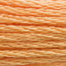 Six-Strand Embroidery Floss - 3854 (Chai Spice)-Embroidery Thread-Wild and Woolly Yarns