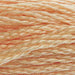 Six-Strand Embroidery Floss - 3856 (Buff)-Embroidery Thread-Wild and Woolly Yarns