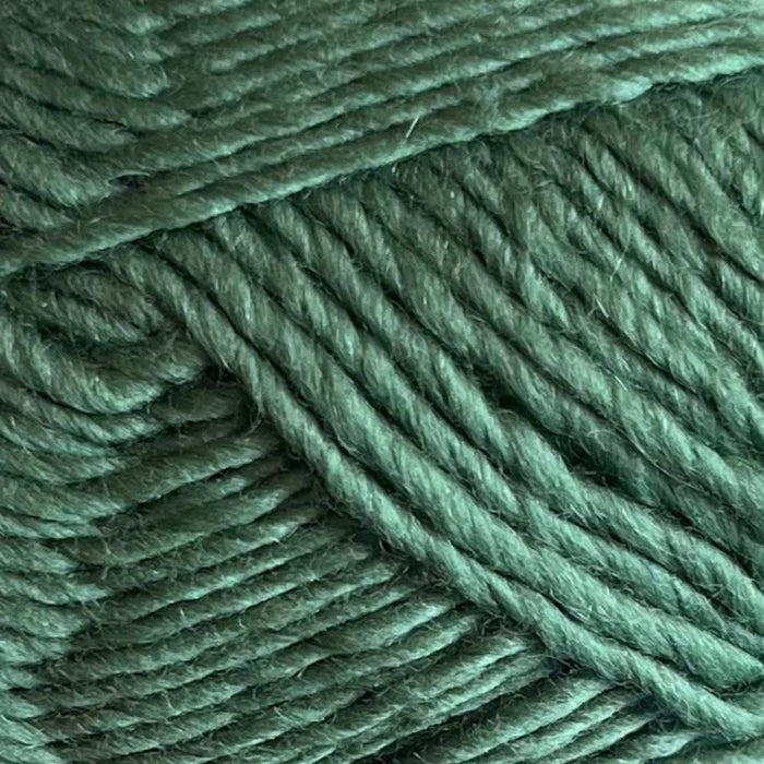 Adorable Fan Stitch Scarf Knit Kit-Knitting Kit-Wild & Woolly Yarns-Chocolate (8291)-Without-Wild & Woolly Yarns