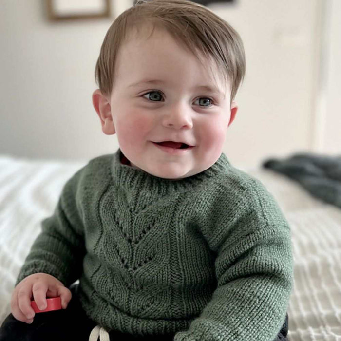 Eden Jumper Knitting Kit – Wild Earth Eden 8 Ply-Knitting Kit-Wild & Woolly Yarns-Blossom-6-9 Months-Wild & Woolly Yarns