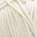 Wild & Woolly Beanie Knit Kit-Knitting Kit-Wild and Woolly Yarns