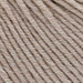 Willow Leaves 8ply Blanket Knit Kit-Knitting Kit-Wild & Woolly Yarns-Mushroom (1621)-Without Needles-Wild & Woolly Yarns