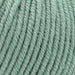 Willow Leaves 8ply Blanket Knit Kit-Knitting Kit-Wild & Woolly Yarns-Sage Green (0330)-Without Needles-Wild & Woolly Yarns