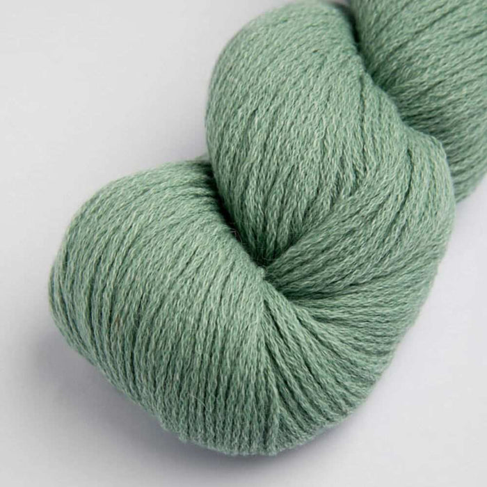 AWAQ Poncho Knit Kit-Needlecraft Kits-Wild & Woolly Yarns-Aloe Leaf (1119)-Wild & Woolly Yarns