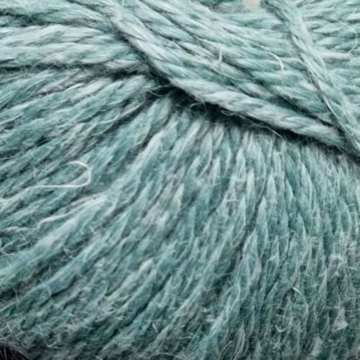 Adult Roll Edge Beanie Knit Kit-Needlecraft Kits-Wild and Woolly Yarns