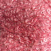 Boucle Cowl Knit Kit-Needlecraft Kits-Wild and Woolly Yarns