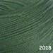 Mika Cardigan & Hat Knit Kit - NZ Merino 8ply-Needlecraft Kits-Wild & Woolly Yarns-3-6 Months-Elm Green (2018)-Wild & Woolly Yarns