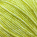 Simple Triangle Shawl Knit Kit-Needlecraft Kits-Wild & Woolly Yarns-Pear (610)-Without Needles-Wild & Woolly Yarns