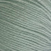 12-ply New Zealand Merino wool yarn in soft green color, ideal for crafting warm and luxurious garments.