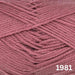 Trailway Baby Blanket Knit Kit-Needlecraft Kits-Wild & Woolly Yarns-Old Rose (1981)-Bassinet Blanket (Small) 70cm X 89cm-Wild & Woolly Yarns