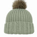 Wild & Woolly Beanie Knit Kit-Needlecraft Kits-Wild & Woolly Yarns-Dusty Light Green (8521)-Wild & Woolly Yarns