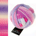 Zauberball Crazy Cowl Knit Kit-Needlecraft Kits-Wild & Woolly Yarns-Cloud No. 8 (2254)-With Needles-Wild & Woolly Yarns
