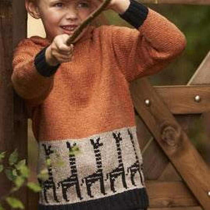 Hide and Seek by Martin Storey Pattern Book-Needlecraft Patterns-Trendy Trims-Wild & Woolly Yarns