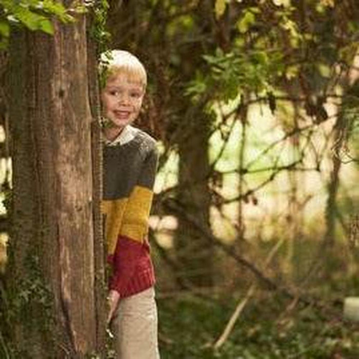 Hide and Seek by Martin Storey Pattern Book-Needlecraft Patterns-Trendy Trims-Wild & Woolly Yarns