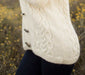 Knitted Jacket with Irish Moss and Cable Patterns Knitting Pattern (AE - 10006)-Pattern-Wild and Woolly Yarns