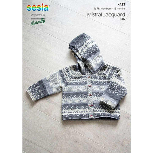 Raglan Cardigan with Hood Knitting Pattern (K423) **-Needlecraft Patterns-Wentworth Distributors-Printed Pattern – Posted-Wild & Woolly Yarns
