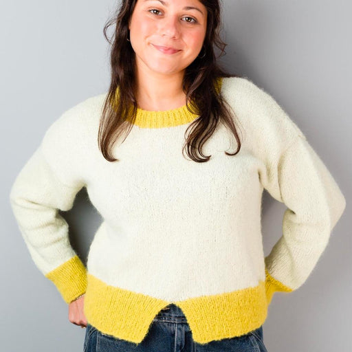Sweater with Contrast Bands Knitting Pattern (AP3300)-Needlecraft Patterns-Alpaca Yarns-Printed-Wild & Woolly Yarns