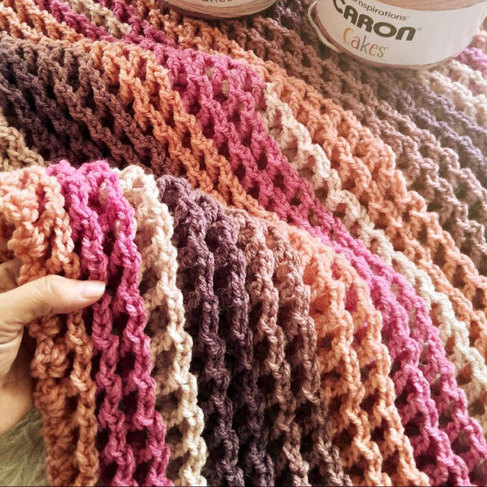 Takes The Cake Afghan Crochet Pattern (HDP194)-Needlecraft Patterns-HD Publishing-Wild & Woolly Yarns
