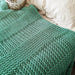 Waves Crashing Afghan Crochet Pattern-Needlecraft Patterns-HD Publishing-Wild & Woolly Yarns