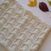 Celestine Cowl Knitting Pattern - 8Ply (HC18)-Pattern-Wild and Woolly Yarns
