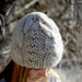 Eliza Beanie Knitting Pattern- 14Ply (HC28)-Pattern-Wild and Woolly Yarns