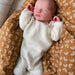 Monday Suit Knitting Pattern - PetiteKnit-Pattern-Wild and Woolly Yarns