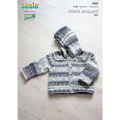 Raglan Cardigan with Hood Knitting Pattern (K423)-Pattern-Wild and Woolly Yarns