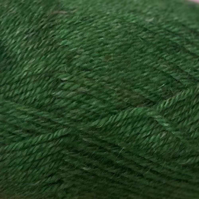 Alpine Polwarth/Possum 8ply-Yarn-Wild Earth Yarns-Angelica-Wild & Woolly Yarns