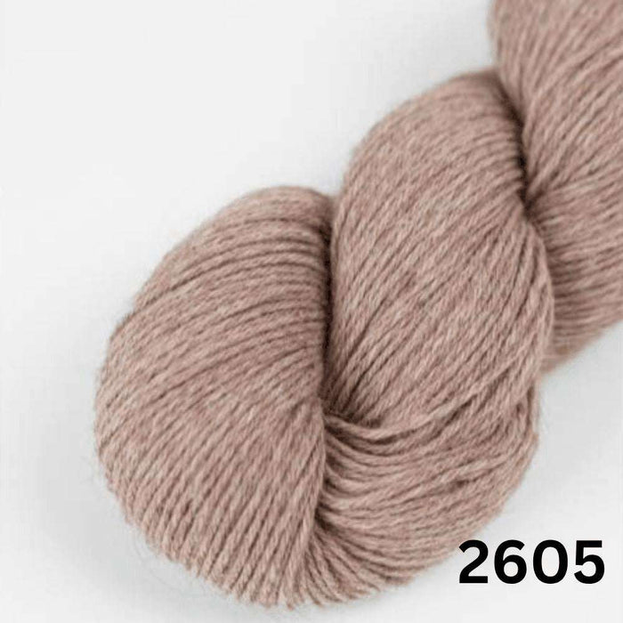 Amano Duna - 4Ply-Yarn-Wentworth Distributors-Arid (2605)-Wild & Woolly Yarns