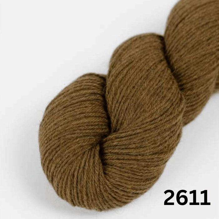 Amano Duna - 4Ply-Yarn-Wentworth Distributors-Barren Land (2611)-Wild & Woolly Yarns