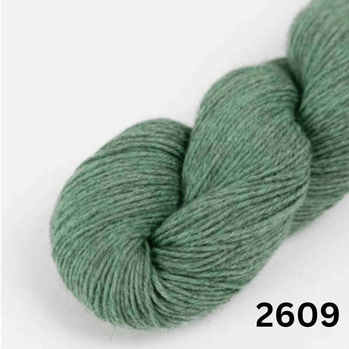 Amano Duna - 4Ply-Yarn-Wentworth Distributors-Cactus 2609-Wild & Woolly Yarns