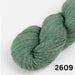 Amano Duna - 4Ply-Yarn-Wentworth Distributors-Cactus 2609-Wild & Woolly Yarns