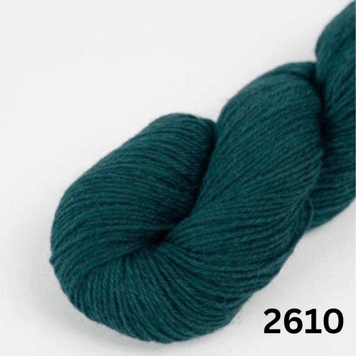 Amano Duna - 4Ply-Yarn-Wentworth Distributors-Crossing (2610)-Wild & Woolly Yarns