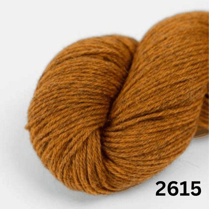 Amano Duna - 4Ply-Yarn-Wentworth Distributors-Desert (2615)-Wild & Woolly Yarns