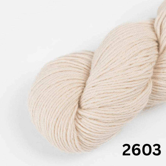Amano Duna - 4Ply-Yarn-Wentworth Distributors-Dune (2603)-Wild & Woolly Yarns