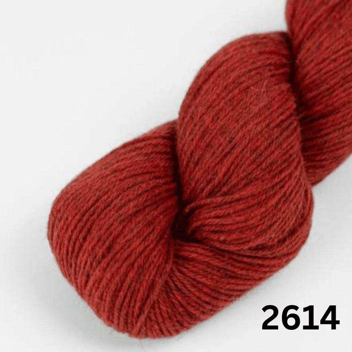Amano Duna - 4Ply-Yarn-Wentworth Distributors-Lava Bed (2614)-Wild & Woolly Yarns