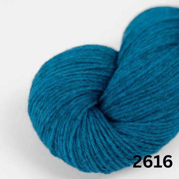 Amano Duna - 4Ply-Yarn-Wentworth Distributors-Moonscape (2616)-Wild & Woolly Yarns