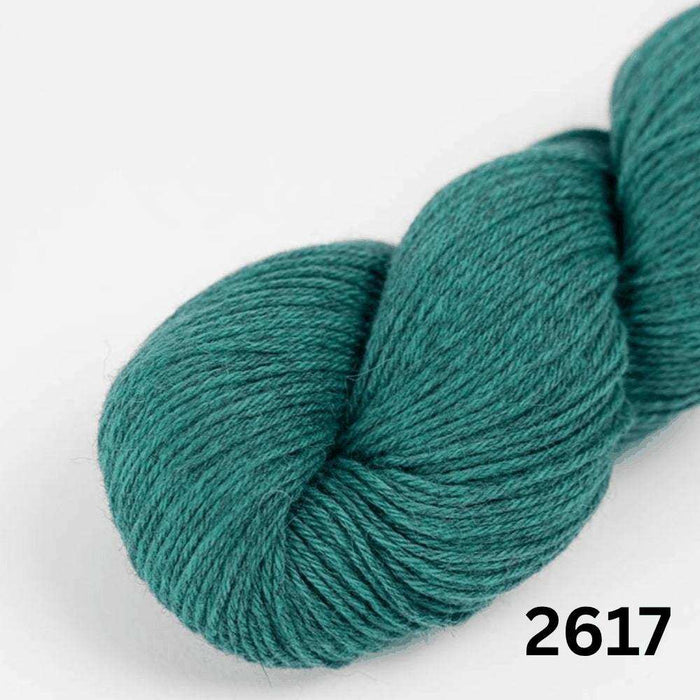 Amano Duna - 4Ply-Yarn-Wentworth Distributors-Moor (2617)-Wild & Woolly Yarns