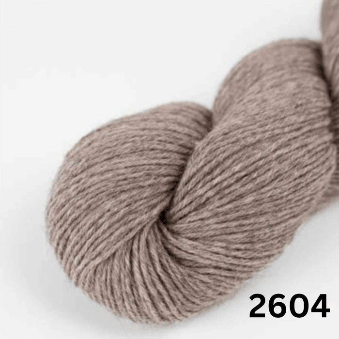 Amano Duna - 4Ply-Yarn-Wentworth Distributors-Oasis (2604)-Wild & Woolly Yarns